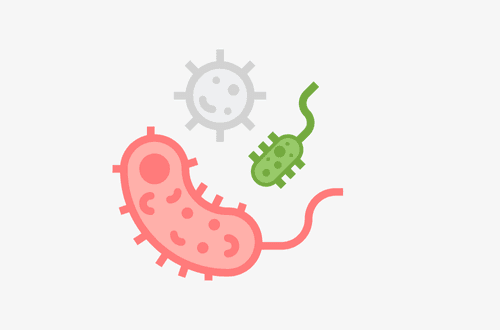 Dynamic Models Feature