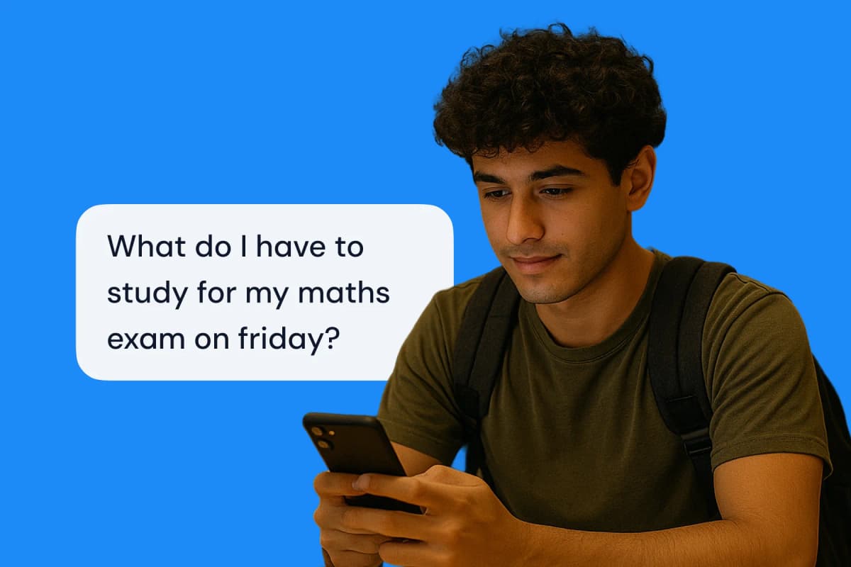 Student interacting with the Agent